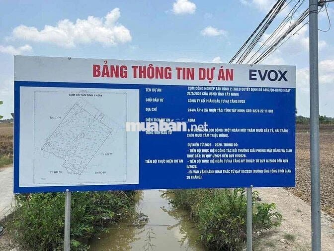 chính chủ cần bán đất thổ cư dt 5x30 tại An Nhựt Tân, Tân Trụ . SHR
