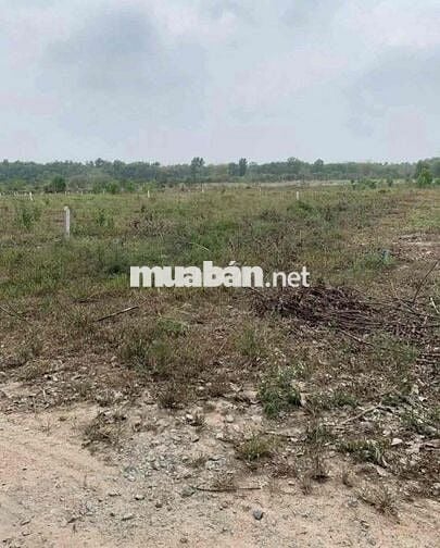 Bán Mãnh Sào 5.166m2 có sẵn thổ cư 100m