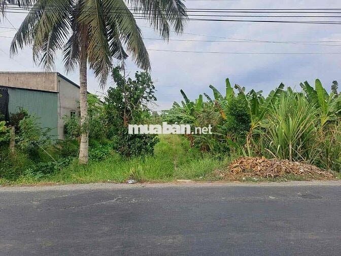 Đất mặt tiền Quốc lộ 54 phường Đông Thành