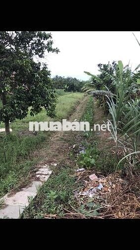 Đất mặt tiền Quốc lộ 54 phường Đông Thành
