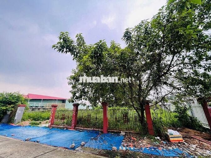 CHỈ 650 TRIỆU ĐÃ SỞ HỮU 240M2 ĐẤT Ở GẦN CHỢ VIỆT KIỀU CỦ CHI SIÊU RẺ