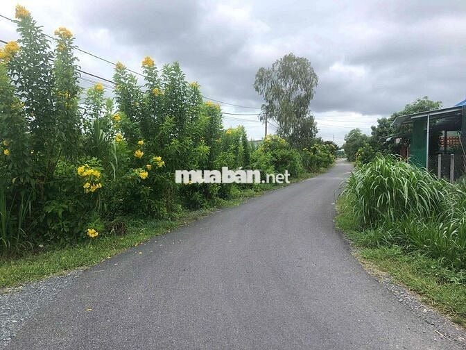 BÁN ĐẤT VƯỜN MẶT TIỀN ĐƯỜNG NHỰA  12m (Nguyễn Thị Quá)