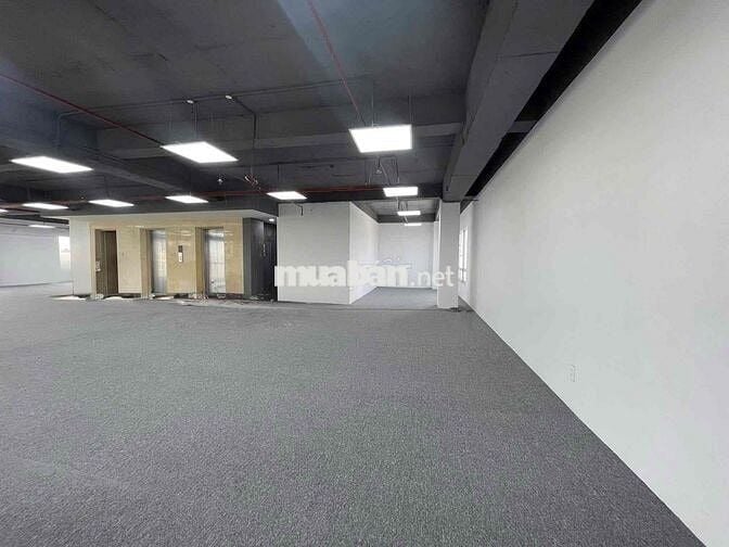 🏢 CHO THUÊ TÒA NHÀ MẶT TIỀN ĐƯỜNG ĐỒNG ĐEN – TÂN BÌNH