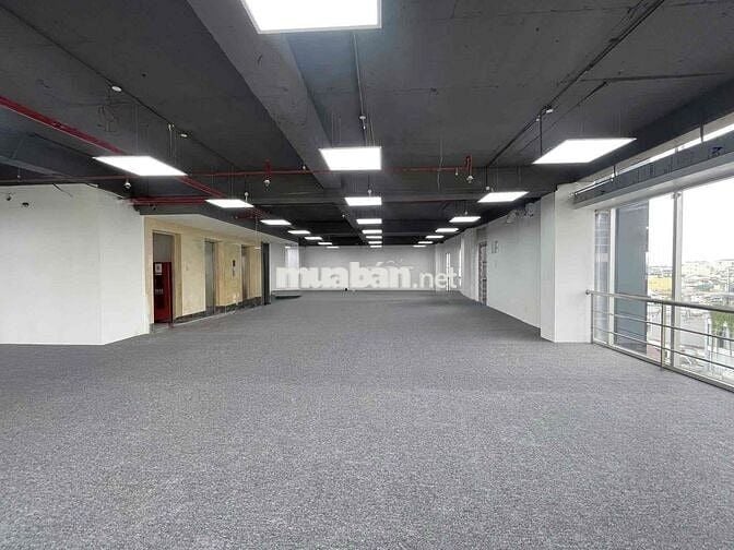 🏢 CHO THUÊ TÒA NHÀ MẶT TIỀN ĐƯỜNG ĐỒNG ĐEN – TÂN BÌNH