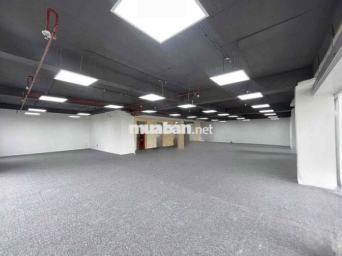 🏢 CHO THUÊ TÒA NHÀ MẶT TIỀN ĐƯỜNG ĐỒNG ĐEN – TÂN BÌNH