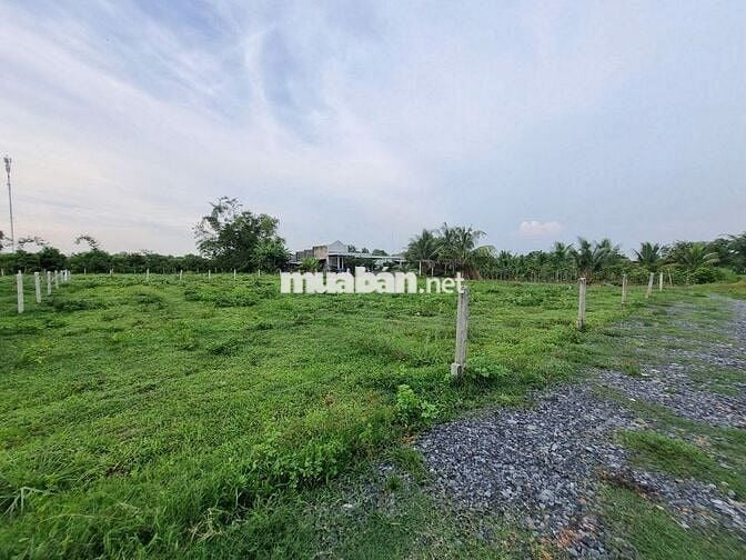 5x35 full thổ. Đối diện 2 trường học. Gần KCN. 499tr