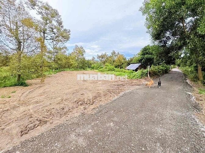 1648m2 Đất Thổ Cư gần KCN Hiệp Thạnh Gò Dầu Tây Ninh giá chỉ 1tỷ050tr