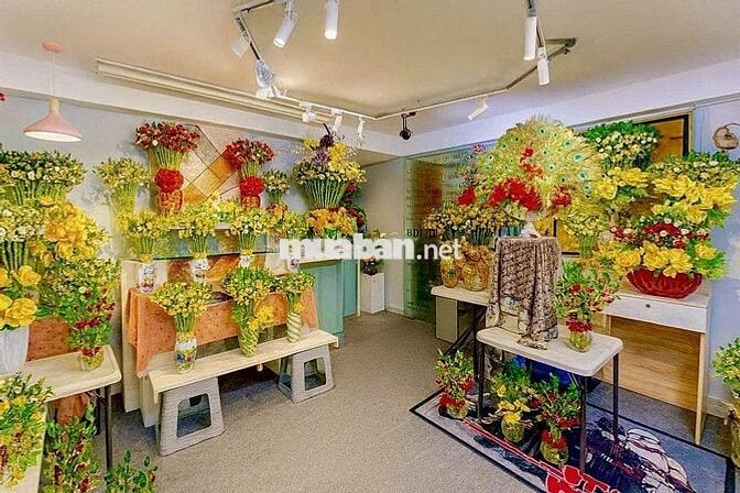 [KO CẦN KN] TUYỂN NV THIẾT KẾ CÂY PHÁT TÀI QUẬN 1