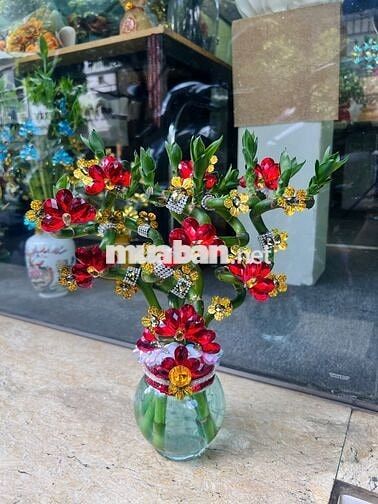 [KO CẦN KN] TUYỂN NV THIẾT KẾ CÂY PHÁT TÀI QUẬN 1