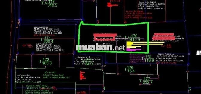 Bán nhà vườn kế chợ Bình Chánh 250m ODT.