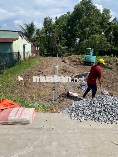 CHÍNH CHỦ CẦN BÁN ĐẤT CÂY LÂU NĂM XÃ TÂN NHỰT TPHCM 