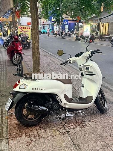 Honda Scoopy 2026 Trắng Mới