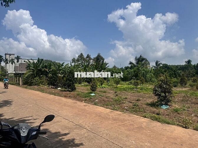 CHỦ NGỘP BÁN NHANH 244M2, GIÁ CHỈ 395TR, SỔ SẴN, MT ĐƯỜNG 8M, DÂN ĐÔNG