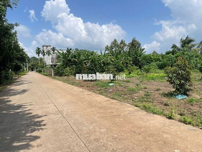 CHỦ NGỘP BÁN NHANH 244M2, GIÁ CHỈ 395TR, SỔ SẴN, MT ĐƯỜNG 8M, DÂN ĐÔNG