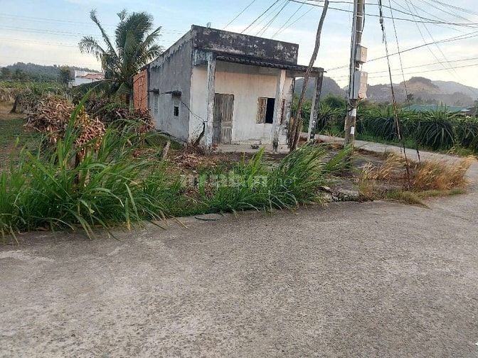 Cần bán đất cây lâu năm có sẵn 60m2 thổ cư