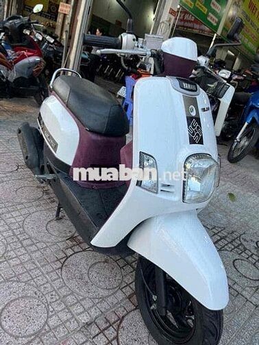 Yamaha Cuxi Trắng Tím