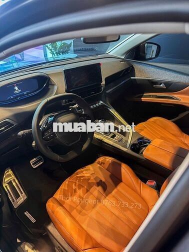 Peugeot 3008 SUV Xám 5 chỗ