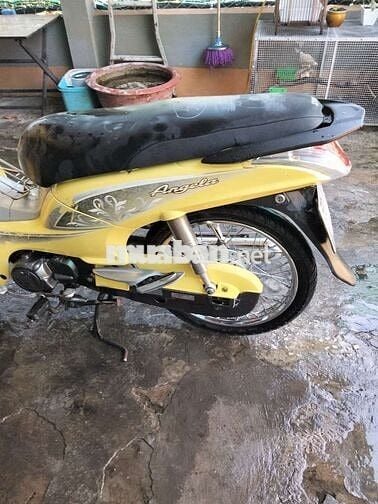 SYM Angela 50cc Vàng