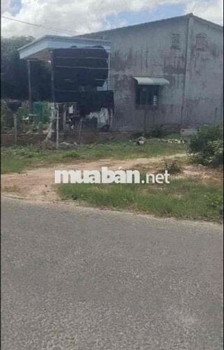gần 4 công 1 đất đường nhựa 16-16 dương Minh châu, chỉ 4 tỷ hết đất