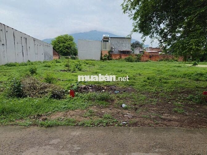 Bán đất Xuân Hiệp gần QL1A, 165m² thổ cư giá 890 triệu