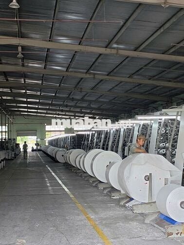 Nhân viên Công nghệ (sản xuất công nghiệp)