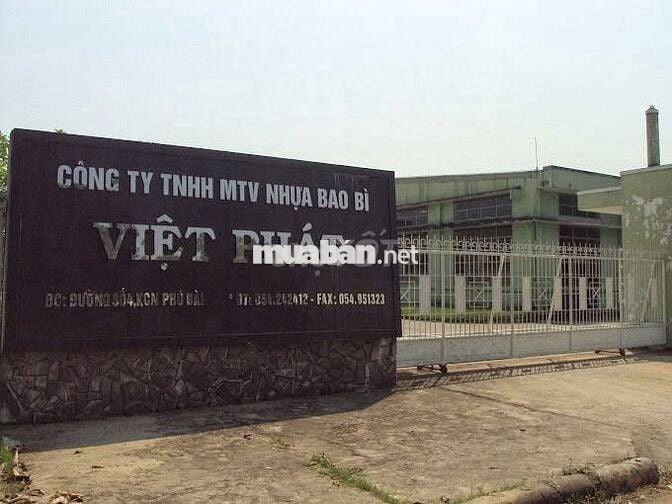Nhân viên Công nghệ (sản xuất công nghiệp)