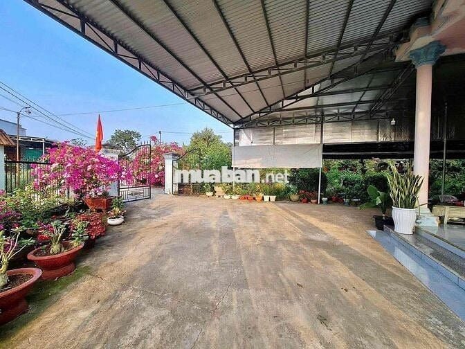 bán đất tặng nhà cấp 4 cũ diện tích 1000m2/280tr