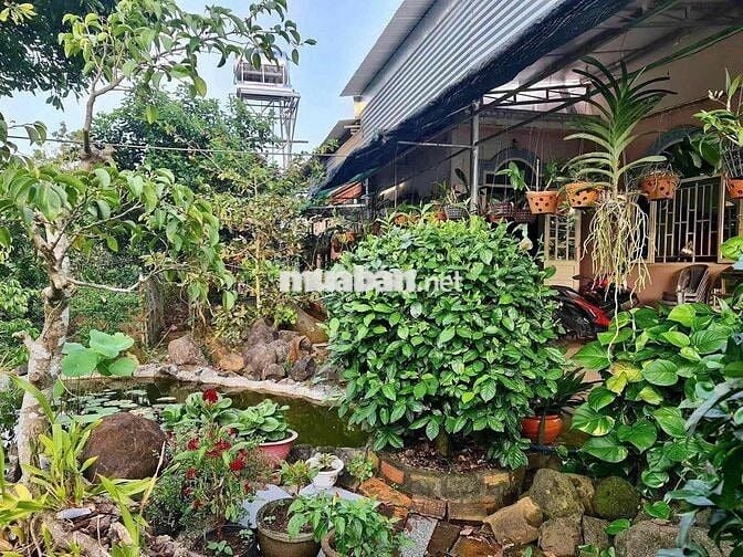 bán đất tặng nhà cấp 4 cũ diện tích 1000m2/280tr