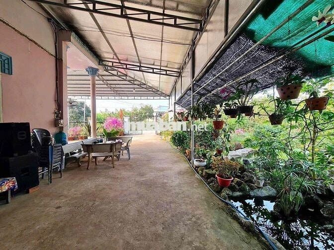 bán đất tặng nhà cấp 4 cũ diện tích 1000m2/280tr
