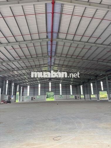 CHO THUÊ 2000-3000-5000m nhà xưởng Phước Hoà - Phú Giáo