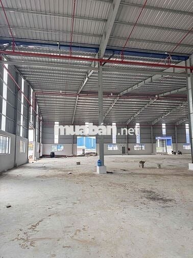CHO THUÊ 2000-3000-5000m nhà xưởng Phước Hoà - Phú Giáo
