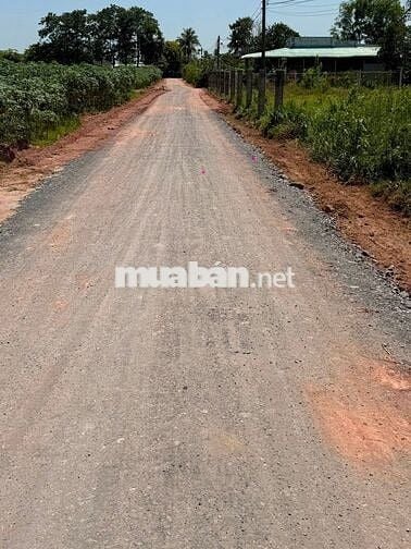 Bán đất mặt tiền nhựa cách lộ nhựa D14 chỉ 20m châu thành tây ninh