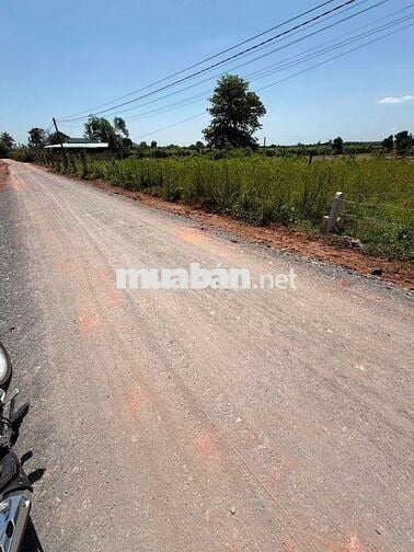 Bán đất mặt tiền nhựa cách lộ nhựa D14 chỉ 20m châu thành tây ninh
