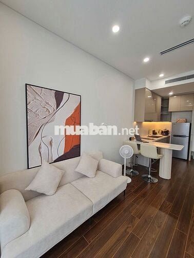 Bán 1N1VS+ 43m2 full đồ. Vinhomes smart city Tây Mỗ.Giá 3,2 tỷ 