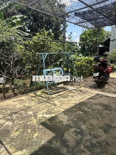 cho thuê phòng có sân sau mát rộng