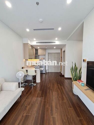 Bán 1N1VS+ 43m2 full đồ. Vinhomes smart city Tây Mỗ.Giá 3,2 tỷ 