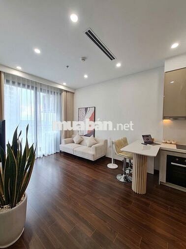 Bán 1N1VS+ 43m2 full đồ. Vinhomes smart city Tây Mỗ.Giá 3,2 tỷ 