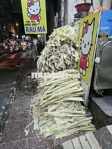 Cần Tuyển Nhân Viên 