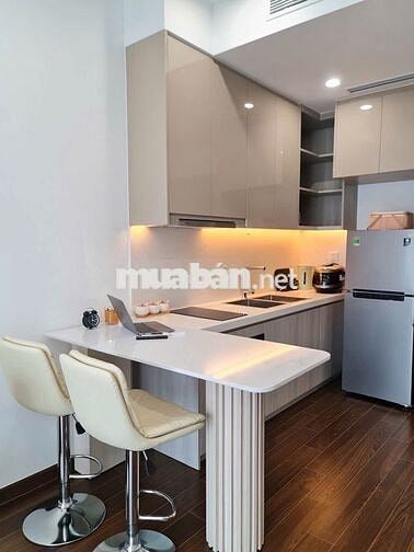 Bán 1N1VS+ 43m2 full đồ. Vinhomes smart city Tây Mỗ.Giá 3,2 tỷ 