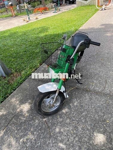 Honda Chaly 84/50 Xanh lá Cổ điển zin mộc