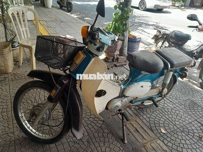 Honda Cub  50
