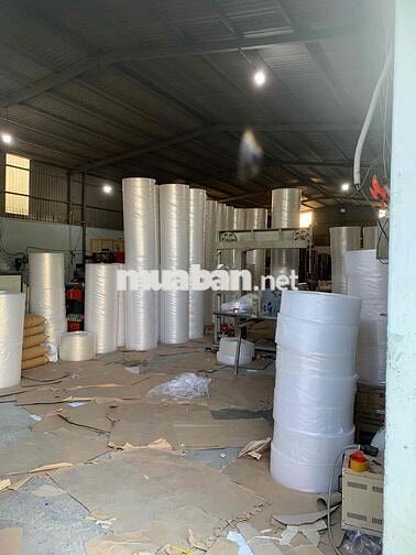 xưởng xốp hơi tuyển lđpt nam