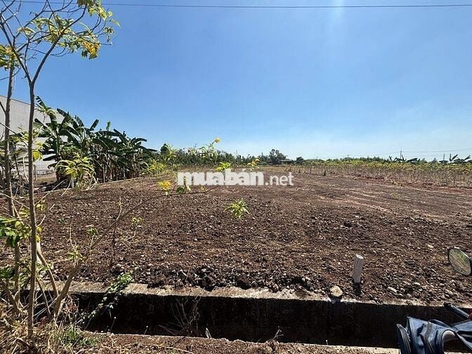 Chính chủ cần bán, 200m2 đất xã đá bạc châu đức, thổ cư 80m2 giá 730tr