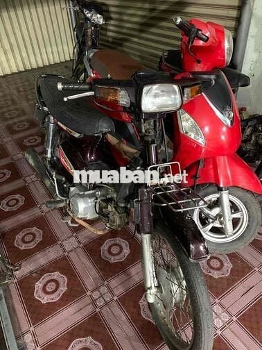 Honda Citi Tím
