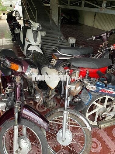 Honda Citi Tím