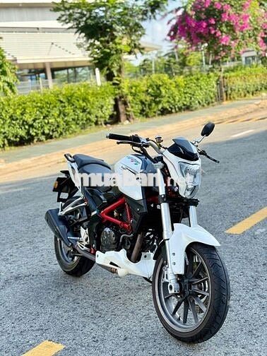 Benelli TNT 175