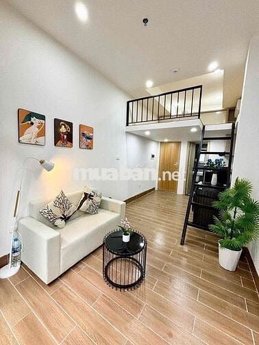 Khai trương Duplex mới ngay Lê Trọng Tấn- Kênh 19/5
