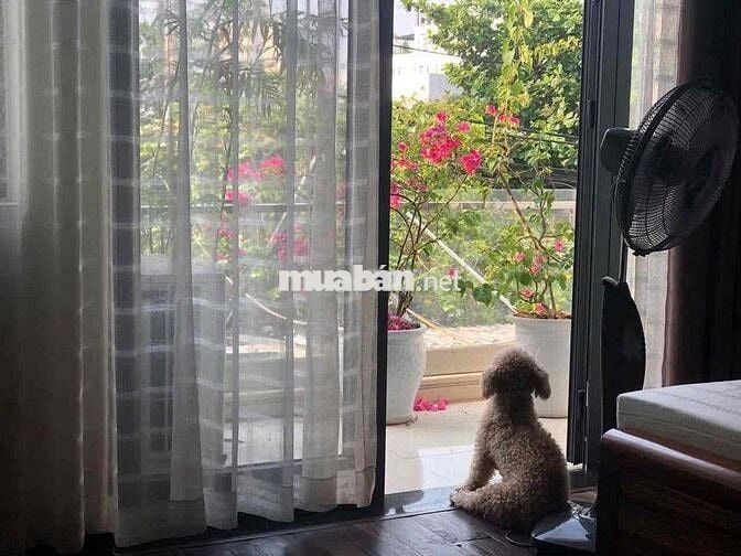CHO THUÊ NHÀ NGUYÊN CĂN SÁT BIỂN MỸ KHÊ