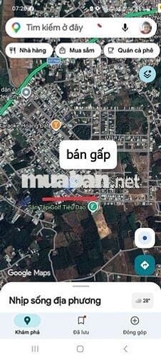🆘️ GIẢM NGAY 120 TRIỆU – CƠ HỘI ĐẦU TƯ HẤP DẪN!
 lavender