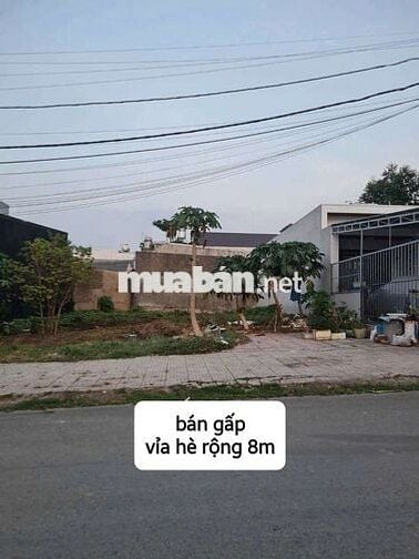 🆘️ GIẢM NGAY 120 TRIỆU – CƠ HỘI ĐẦU TƯ HẤP DẪN!
 lavender